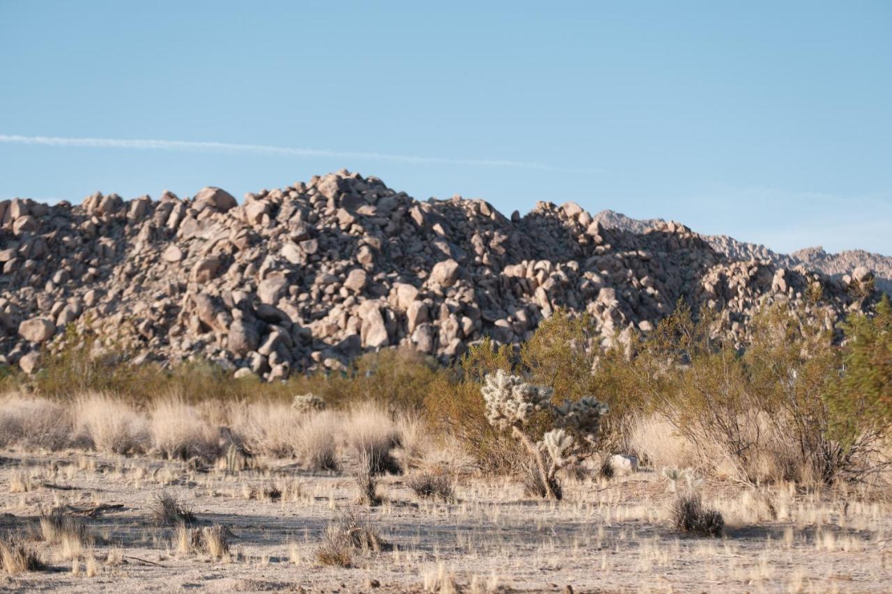 @ Marbella Lane - The Moon Designer Home Right Behind The Jtnp Joshua Tree Eksteriør bilde